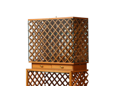 Rare Vitrine with Integrated Glass Tray by Pietro Chiesa