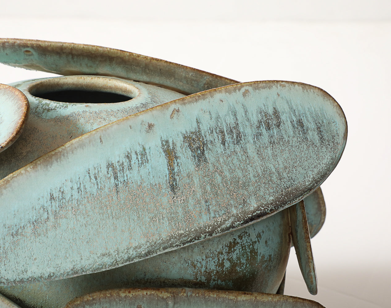 Lichen Vase #4 by Robbie Heidinger