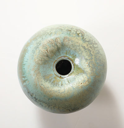 Apple Vase 1 by Robbie Heidinger