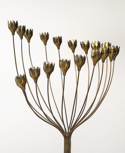 Calla Series Floor Lamp by Angelo Lelii