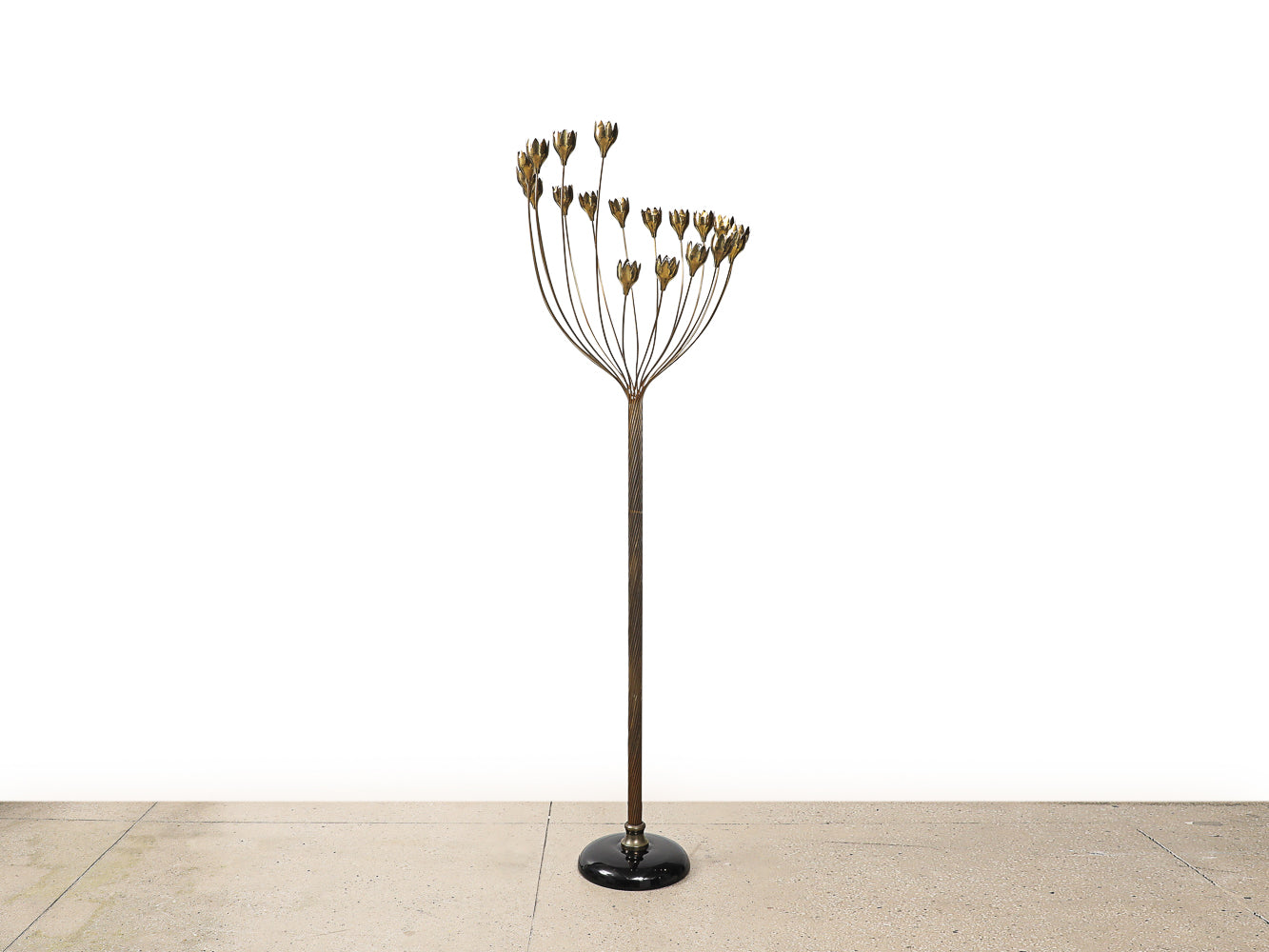 Calla Series Floor Lamp by Angelo Lelii