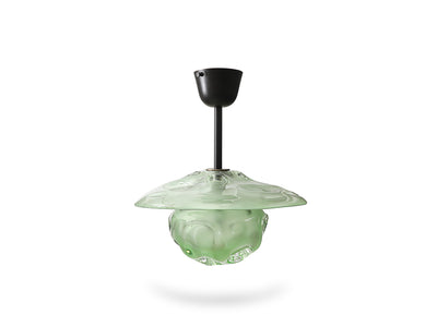 Morel Lantern Lime by Lorin Silverman